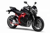 2012 Yamaha FZ1-N photo